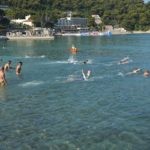 Uvala Rokotok Ribafish 153