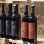 OTVORENA VUKOVARSKA KUĆA Dašak Slavonije stigao u povijesnu jezgru 18 vukovarska kuca kaboga 19