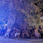 004trsteno ragusavecchia