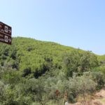 006mljet putevima proslosti