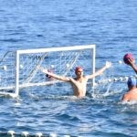 Divlja liga 114
