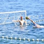 Divlja liga 36