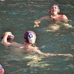 Revijalna divlja liga 26