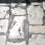 c rupe plocnik134