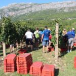 008trganje 2019