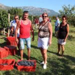 010trganje 2019
