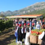 020trganje 2019