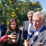 Ministrica Vučković otvorila sezonu berbe mandarina u Neretvi 1