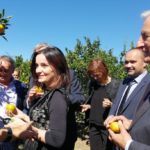 Ministrica Vučković otvorila sezonu berbe mandarina u Neretvi 3