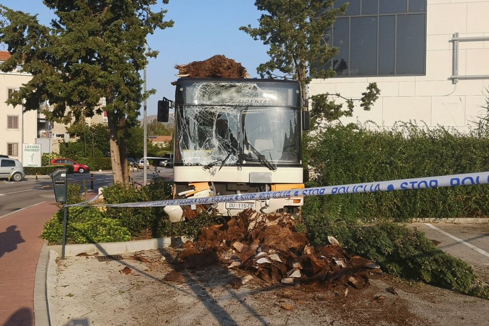 autobus srebreno kradja 4