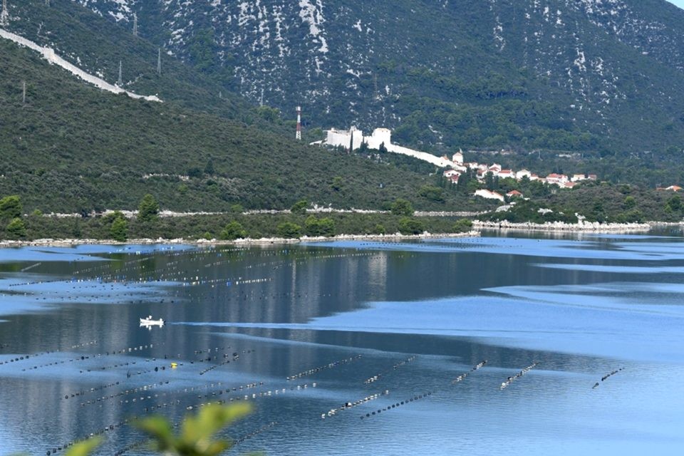 malostonski zaljev kamenice 6