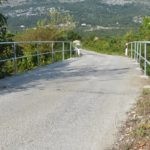 ograda stupici cilipi 4