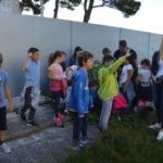 Sadnja Stabala Slavica 30