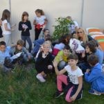 Sadnja Stabala Slavica 34