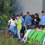Sadnja Stabala Slavica 37