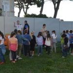 Sadnja Stabala Slavica 46