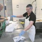 c vedrana divic peskarija032