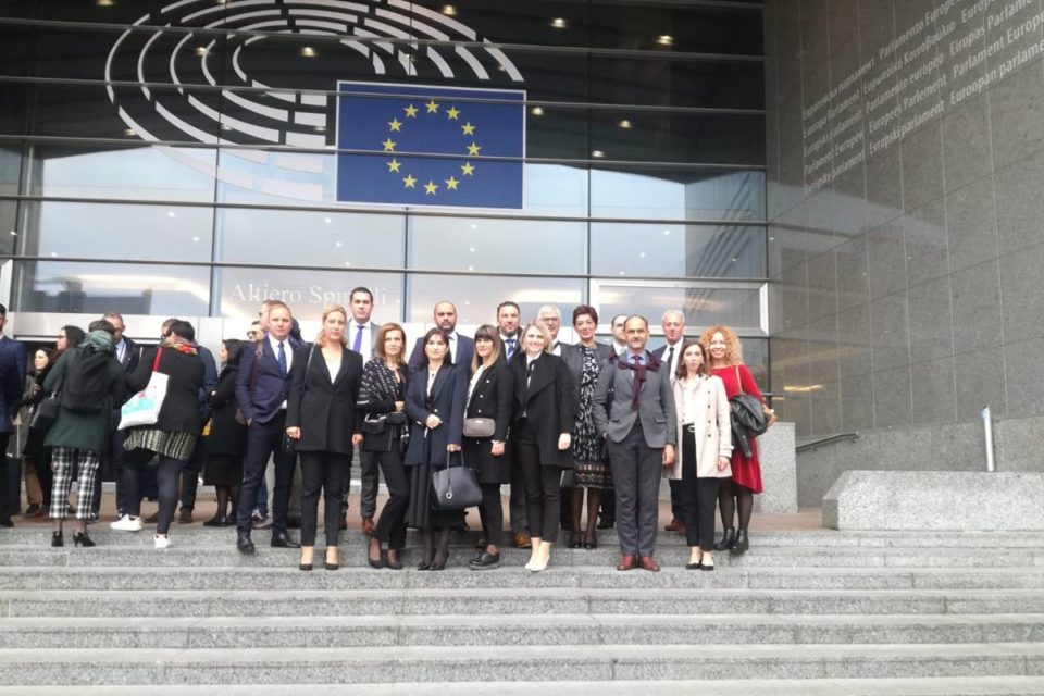 dnz delegacija bruxelles 3