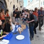 dubrovacka trpeza good food 66