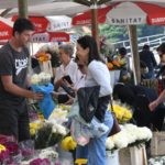 placa cvijece026