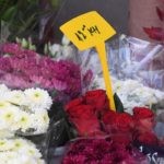 placa cvijece030