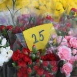 placa cvijece034