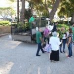 posadi drvo sadnice vrtlar16