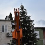 Lapad Ukrasi 6
