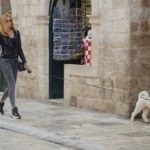 Spica Stradun 10