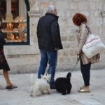 ĐIR IZMEĐU KIŠNIH KAPI Oblaci nad punim Stradunom 16 Stradun spica 29