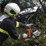 Vatrogasci Stabla Cira carica 12
