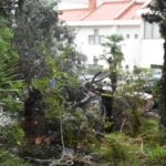 Vatrogasci Stabla Cira carica 17