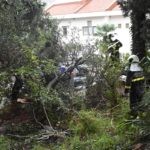 Vatrogasci Stabla Cira carica 2