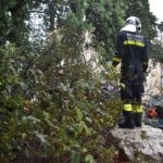 Vatrogasci Stabla Cira carica 8