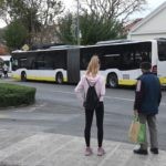autobus harmonika libertas01