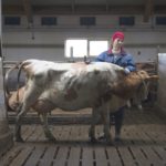 kinematografi zff1