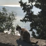 macke belverdere 1