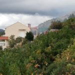 VIDEO U požaru na Kosturu jedna osoba ozlijeđena 2 pozar soline 11