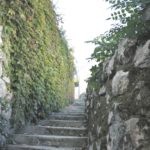 sustjepan 7