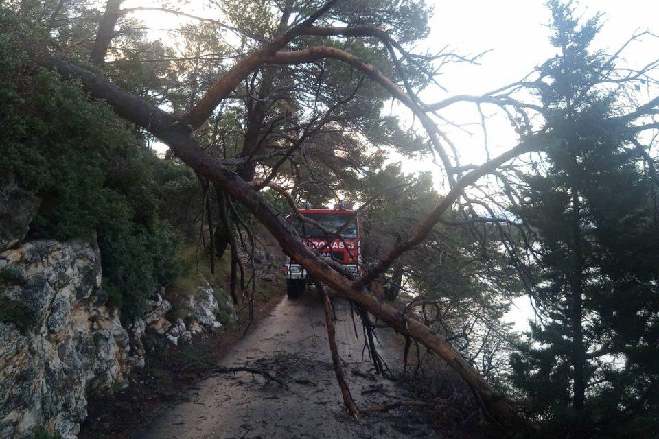 NAKON NEVREMENA Mljetski vatrogasci uklanjaju porušena stabla