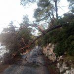 mljet vatrogasci 2