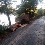 mljet vatrogasci 4