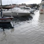 plima orsan054 1