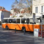 libertas autobus drveni003