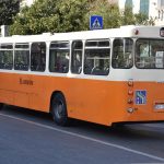 libertas autobus drveni010
