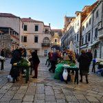 BOGATA PONUDA ZELENE PLACE Kupus, raštika, verza... 4 zelena placa sijecanj 2020