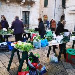 BOGATA PONUDA ZELENE PLACE Kupus, raštika, verza... 1 zelena placa sijecanj 2020 3