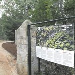 002lokrum botanicki