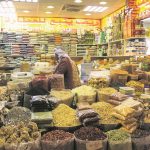 Global Village 4