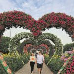 Miracle Garden 3
